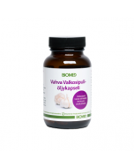 Biomed Vahva Valkosipuliöljykapseli 90kaps.