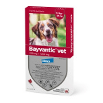 Bayvantic vet 4 x 2.5 ml paikallisvaleluliuos