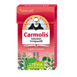 Carmolis Inkivääri Yrttipastilli, 45 g