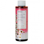 Korres Chamomile & Lactic Acid intiimialueen puhdistusgeeli, 250 ml