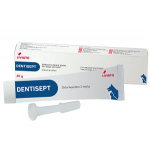 Dentisept hammasgeeli 20 g