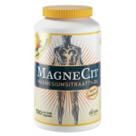 Magnecit Purutabletti 100 tabl