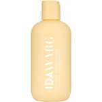 Ida Warg Volume Conditioner 250 ml