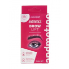Andmetics Brow Lamination Set -kulmien laminointisetti