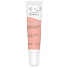 Alga Cicosa Reparative Lip Balm Korjaava Huulivoide, 15 ml