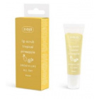 Ziaja Ananas huulikuorinta 12ml